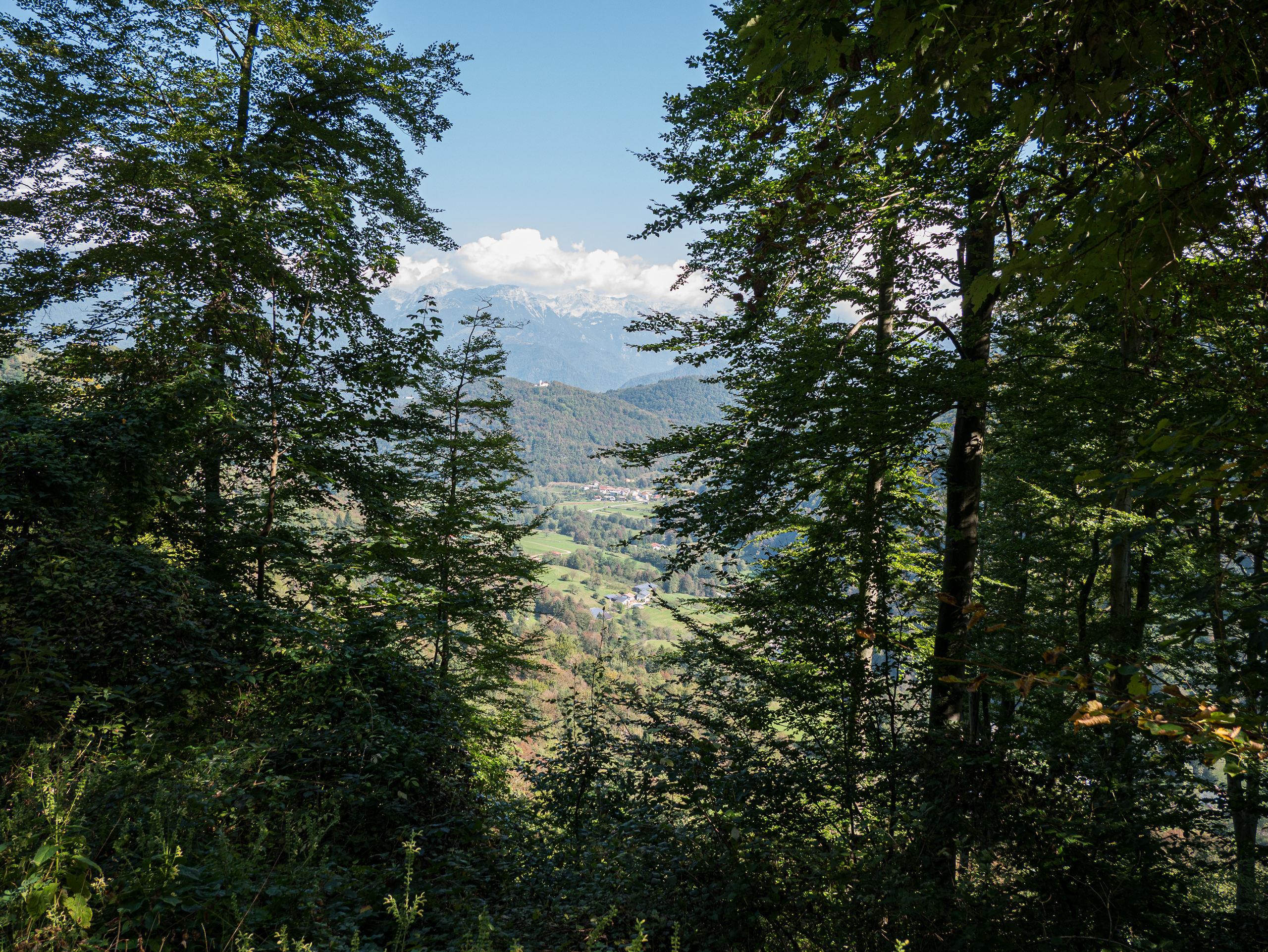Waldfenster mit Blick ins Soča-Tal und auf die Julischen Alpen